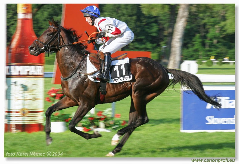 Bratislava - 18. jla 2004