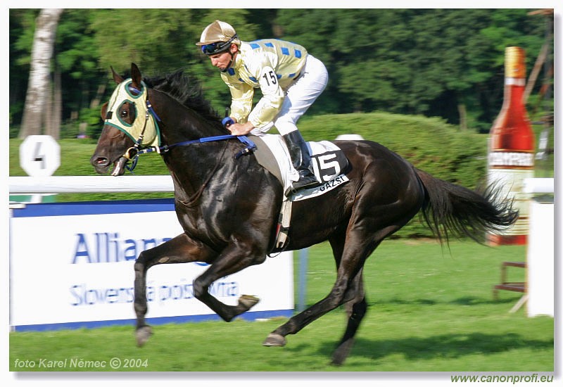 Bratislava - 18. jla 2004