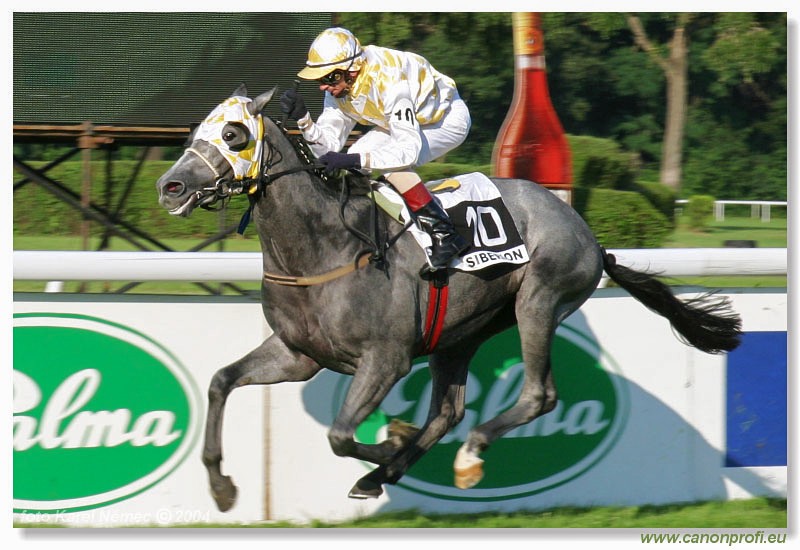 Bratislava - 18. jla 2004
