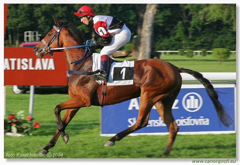 Bratislava - 18. jla 2004