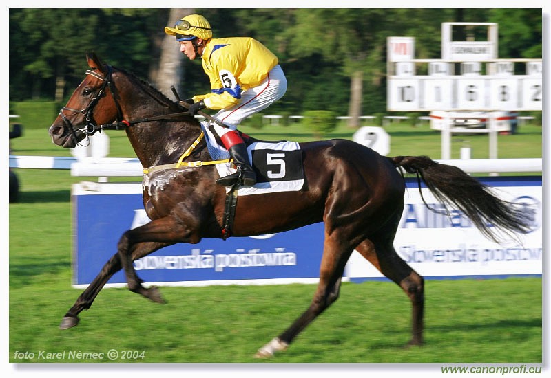 Bratislava - 18. jla 2004