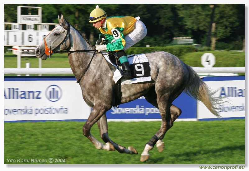 Bratislava - 18. jla 2004