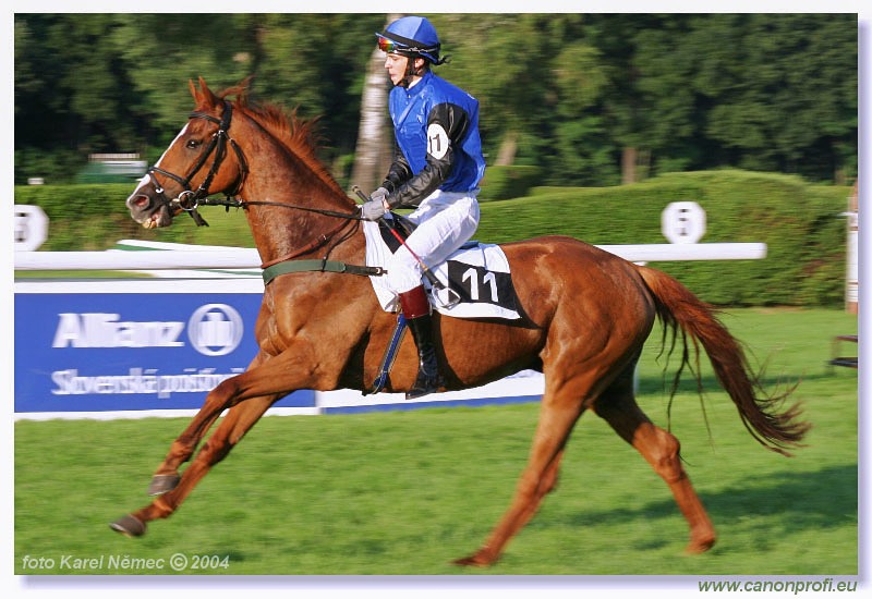 Bratislava - 18. jla 2004