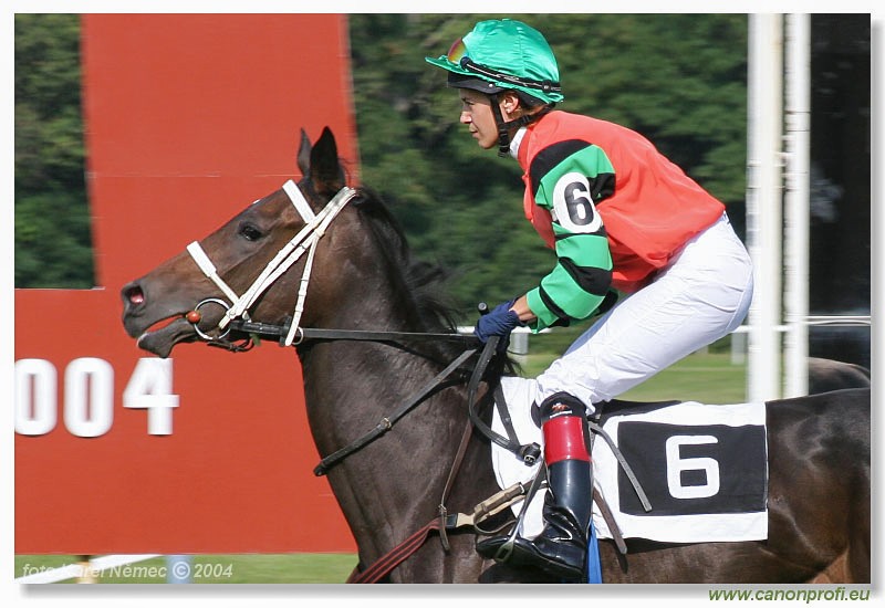 Bratislava - 12. septembra 2004