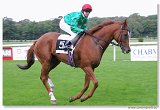 Handicap Sebastiana 
