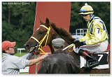 Handicap Sebastiana 