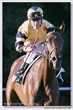 St. Leger Charvt 