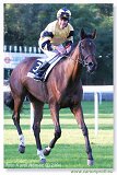 St. Leger Charvt 