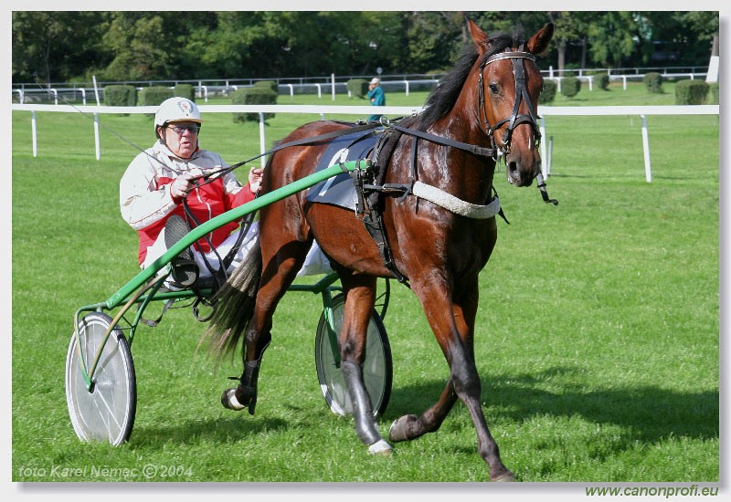 Bratislava - 03. oktbra 2004