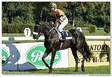 Cena Nutri Horse Msli 