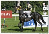 Cena Nutri Horse Msli 