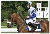 Cena Nutri Horse Msli 