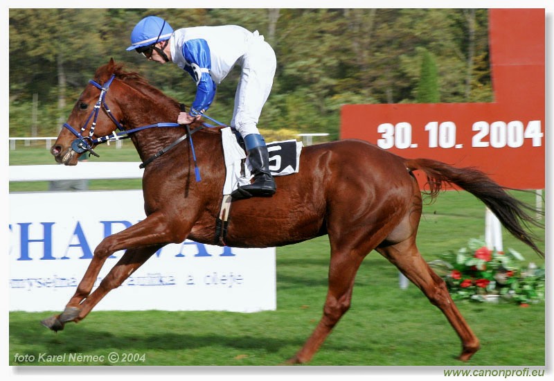 Bratislava - 30. oktbra 2004