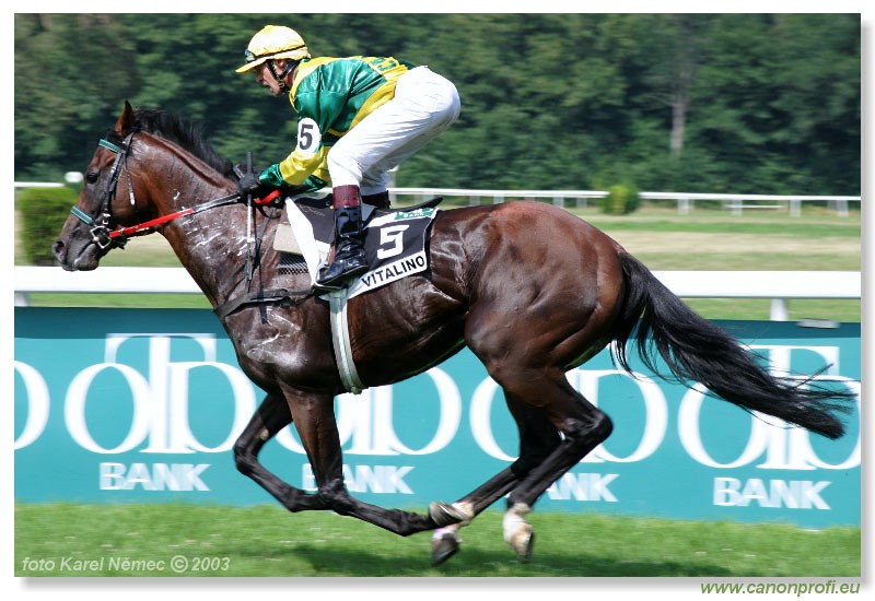 Bratislava - 20. jla 2003