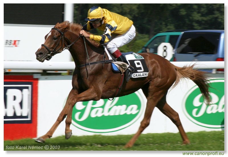 Bratislava - 20. jla 2003