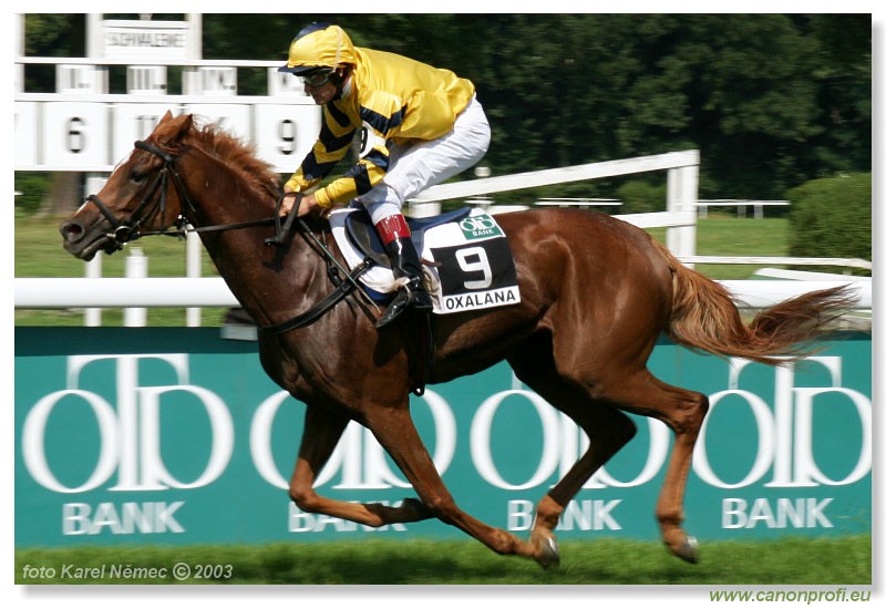 Bratislava - 20. jla 2003