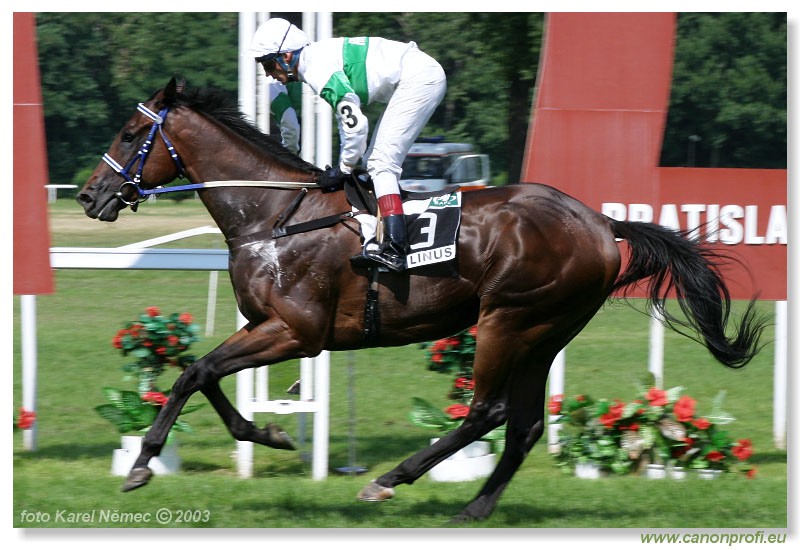 Bratislava - 20. jla 2003