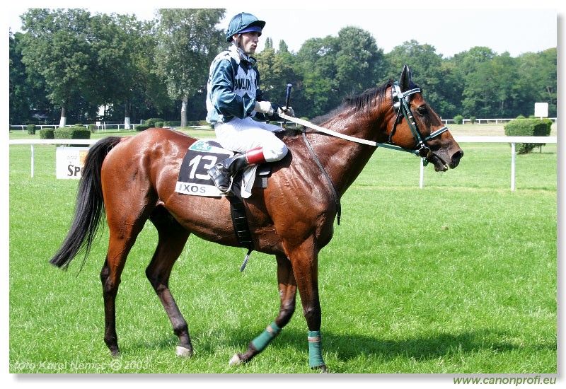 Bratislava - 20. jla 2003