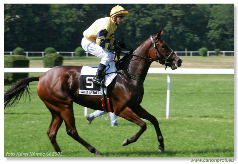 Bratislava - 20. jla 2003