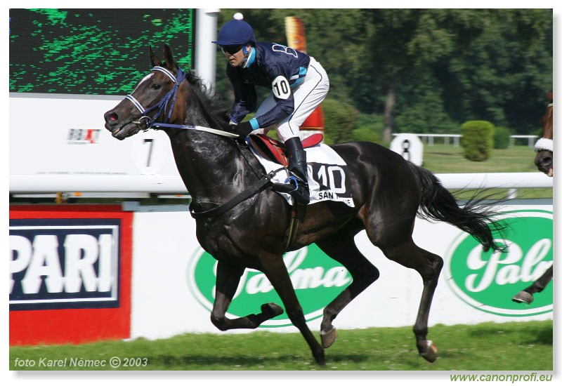 Bratislava - 20. jla 2003