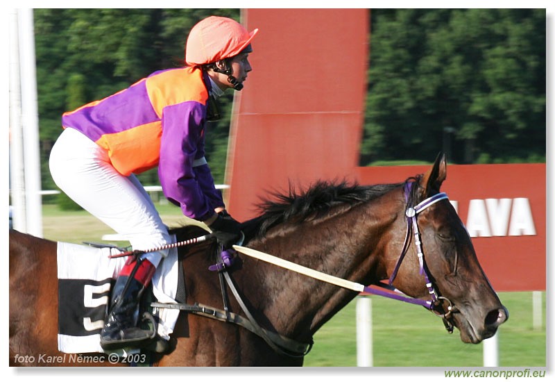 Bratislava - 20. jla 2003