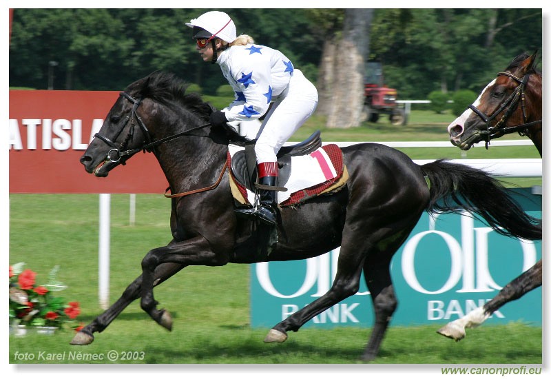 Bratislava - 20. jla 2003