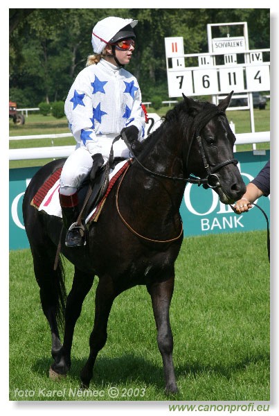 Bratislava - 20. jla 2003