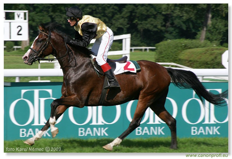 Bratislava - 20. jla 2003