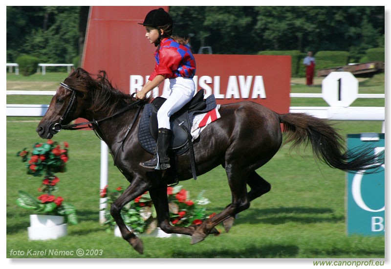 Bratislava - 20. jla 2003