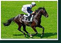 GREAT GUNNAR (GB) - žk. Liška David - Westminster Race Horses (CZE)