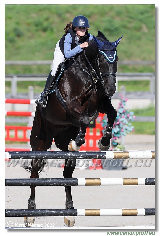 Danube Champions Tour - CSI1* - Grand Prix - 1.35 