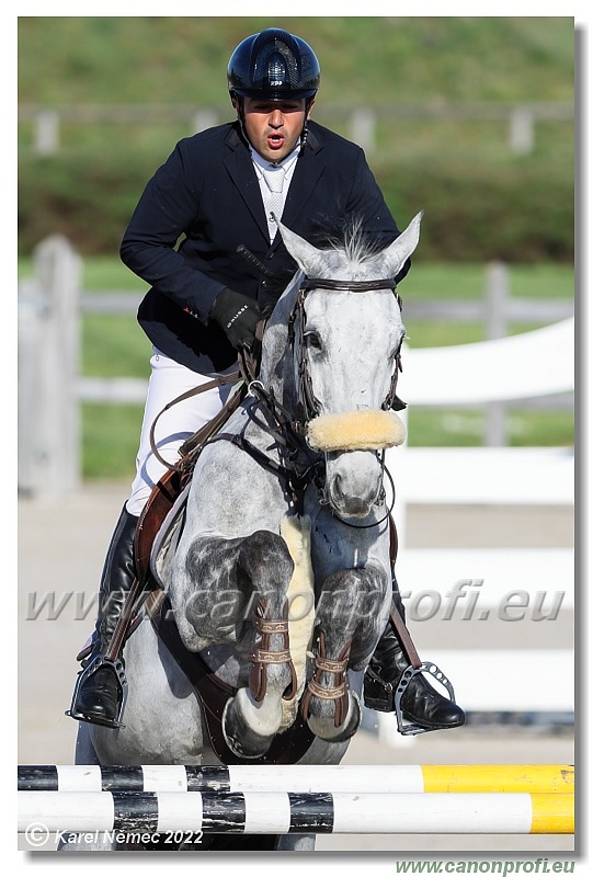 Danube Champions Tour - CSI1* - Grand Prix - 1.35 