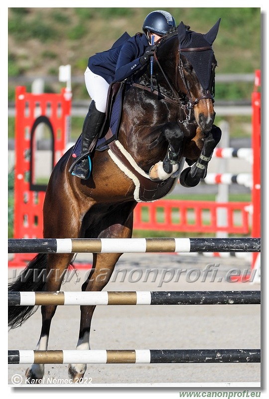 Danube Champions Tour - CSI1* - Grand Prix - 1.35 