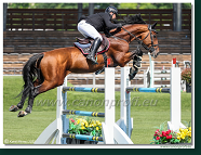 Danube Champions Tour - CSI2* - Grand Prix - 1.45m