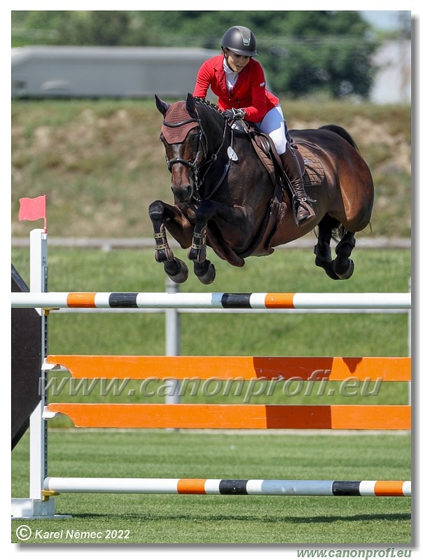 Danube Champions Tour - CSI2* - Grand Prix - 1.45