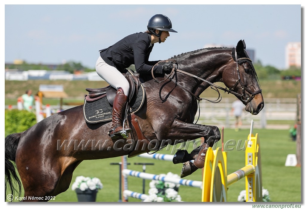 Danube Champions Tour - CSI2* - Grand Prix - 1.45