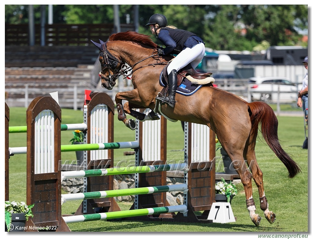 Danube Champions Tour - CSI2* - Grand Prix - 1.45