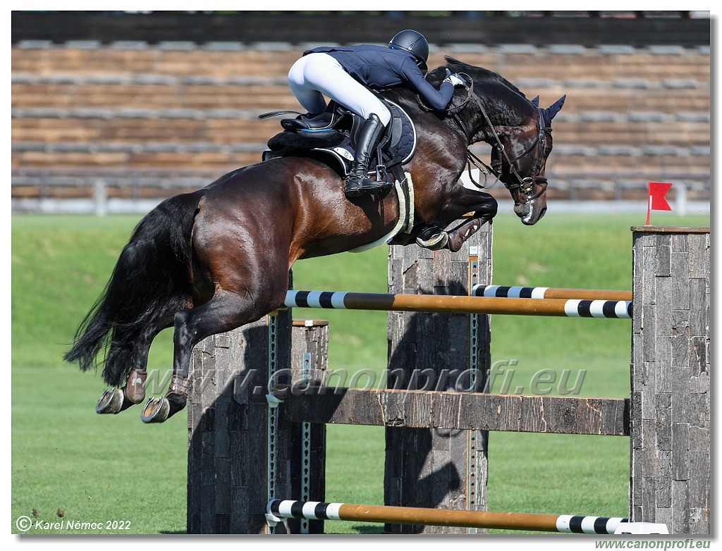 Danube Champions Tour - CSI2* - Grand Prix - 1.45