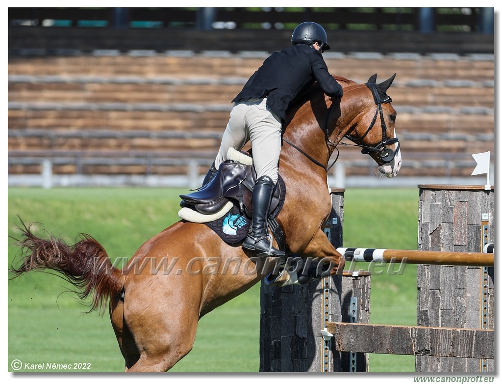 Danube Champions Tour - CSI2* - Grand Prix - 1.45