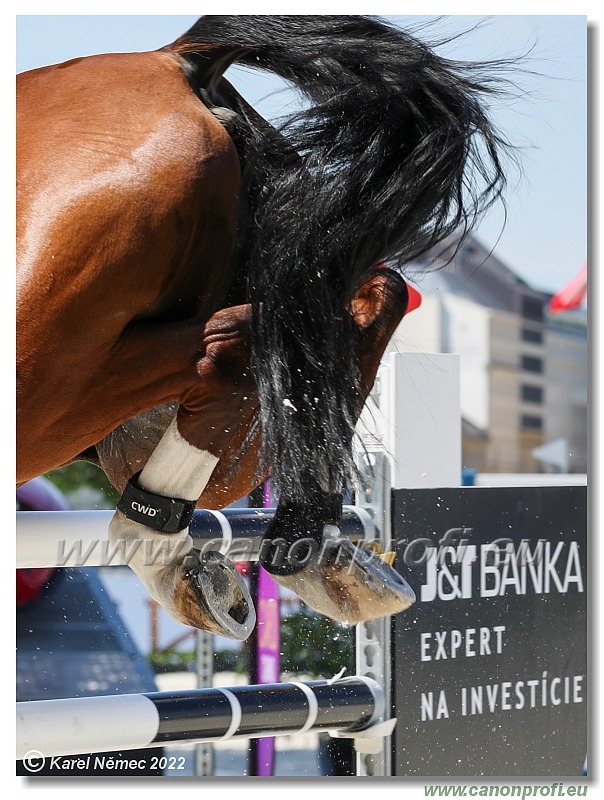 LONGINES EEF Nations Cup Bratislava - 1.45 m