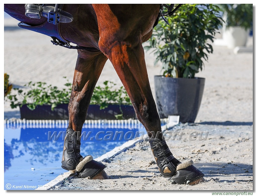 LONGINES EEF Nations Cup Bratislava - 1.45 m