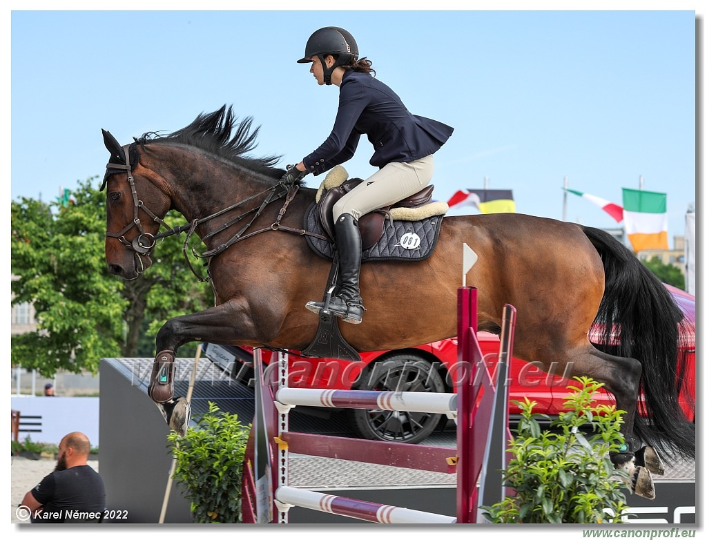 Danube Equestrian Festival - CSI 1* - Big Tour - 1.35 