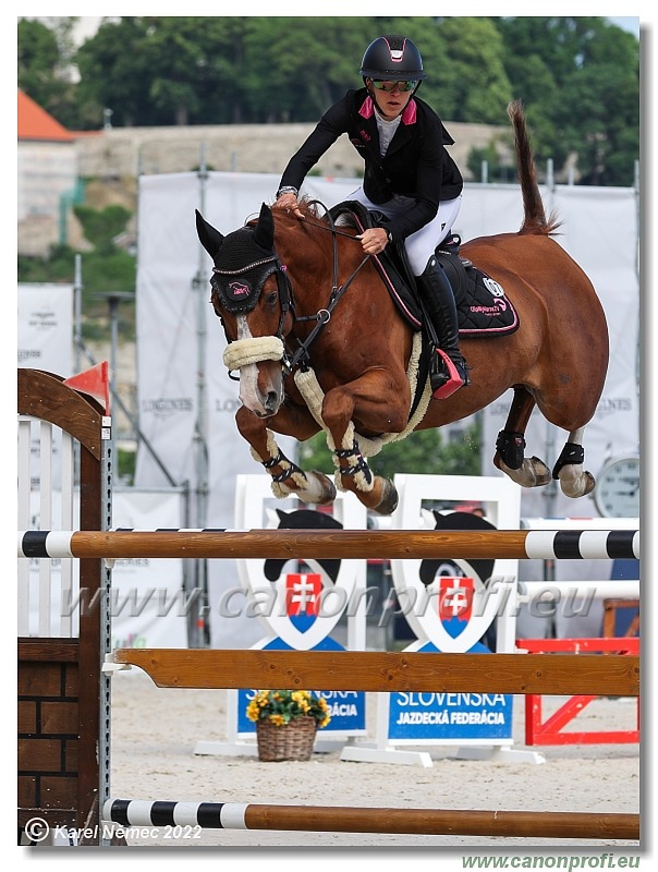 Danube Equestrian Festival - CSI 1* - Big Tour - 1.35 