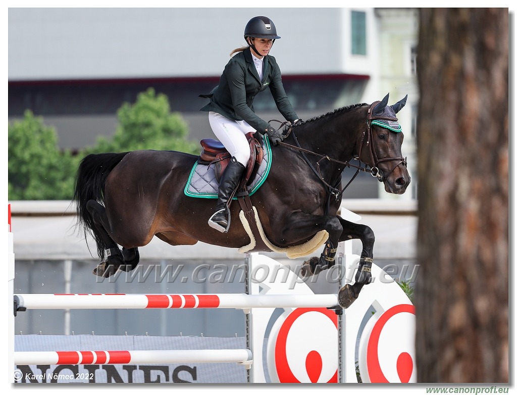 Danube Equestrian Festival - CSI 1* - Big Tour - 1.35 