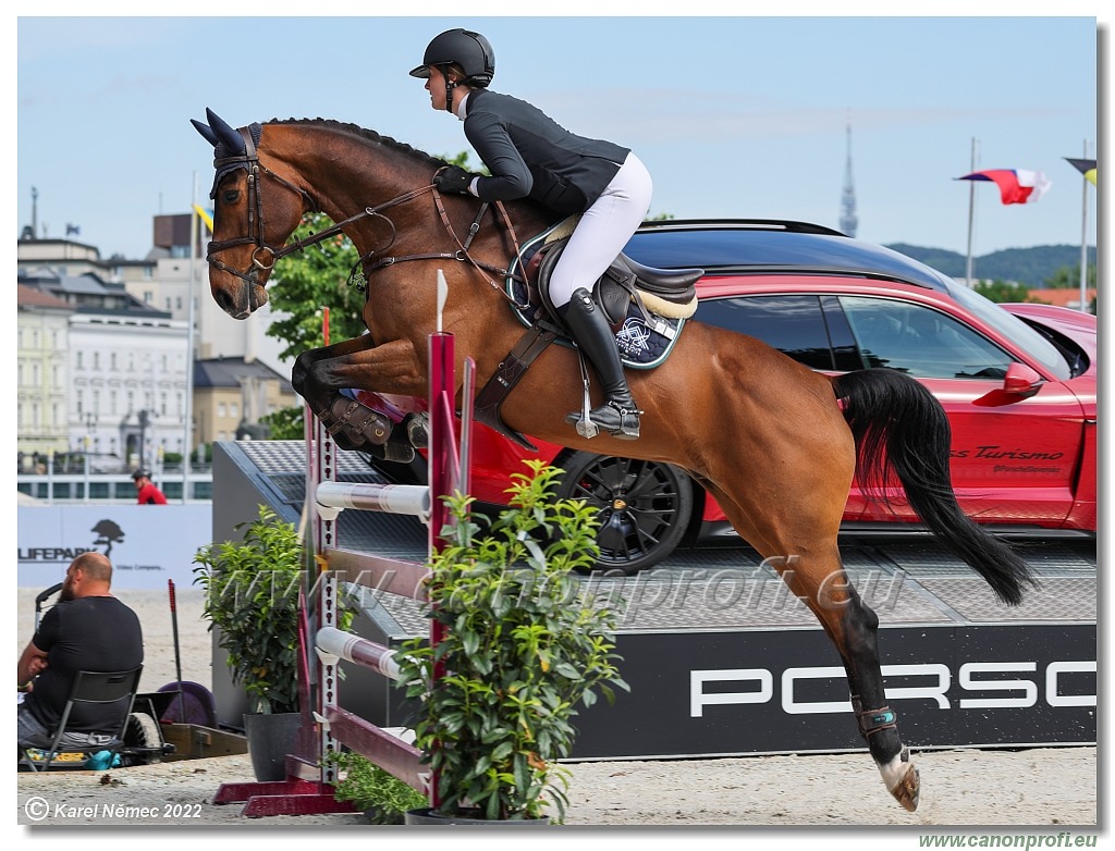 Danube Equestrian Festival - CSI 1* - Big Tour - 1.35 