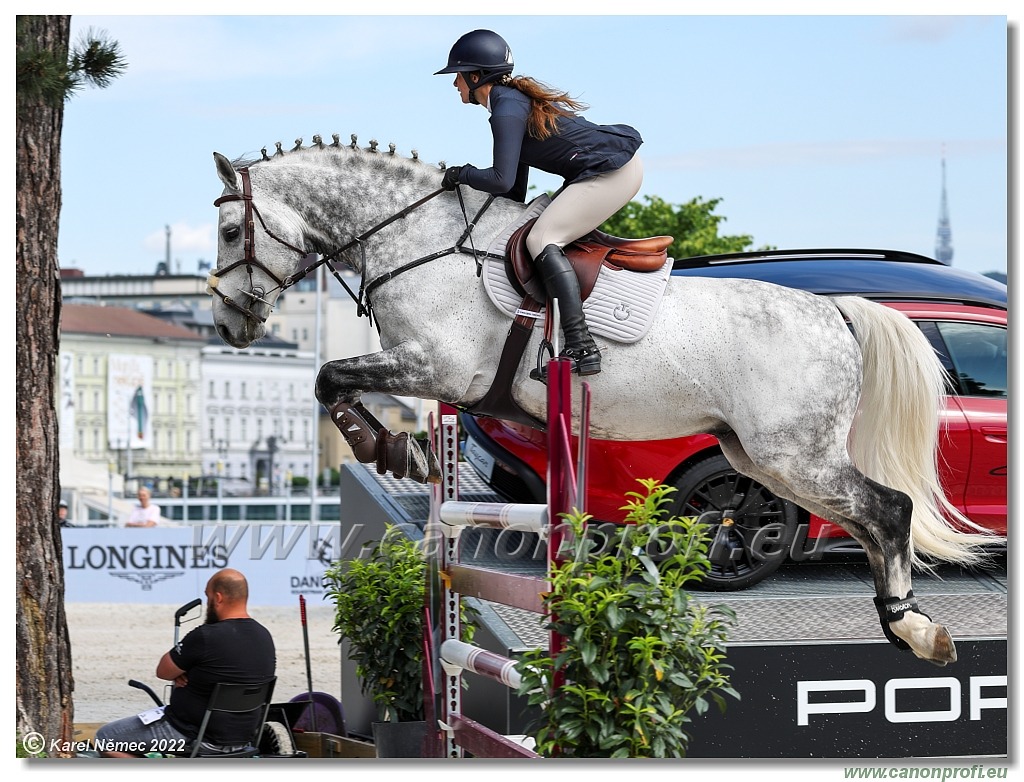 Danube Equestrian Festival - CSI 1* - Big Tour - 1.35 