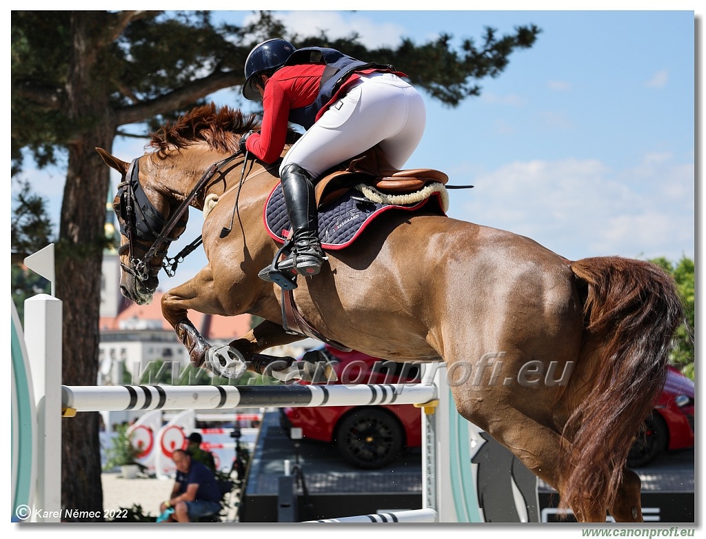 CSIO3* - Gold Tour GRAND PRIX of Bratislava - 1.60 m