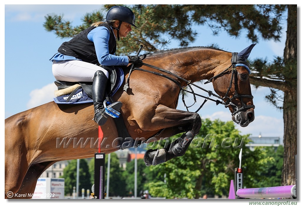 CSIO3* - Gold Tour GRAND PRIX of Bratislava - 1.60 m