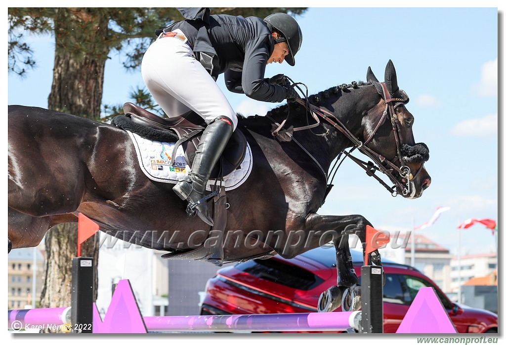 CSIO3* - Gold Tour GRAND PRIX of Bratislava - 1.60 m