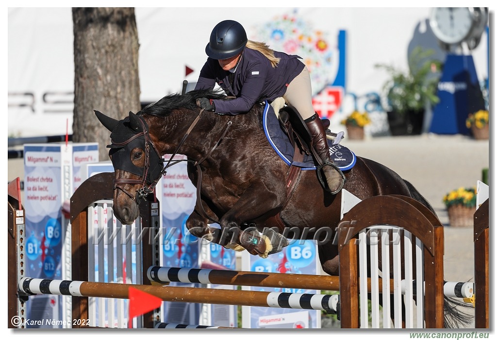 Danube Equestrian Festival - CSI1* - Middle Tour - 1.30 m